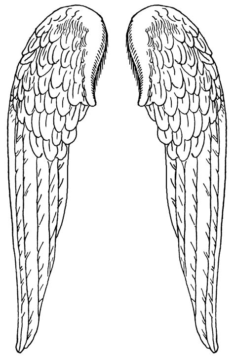 angel with wings spread|printable picture of angel wings.